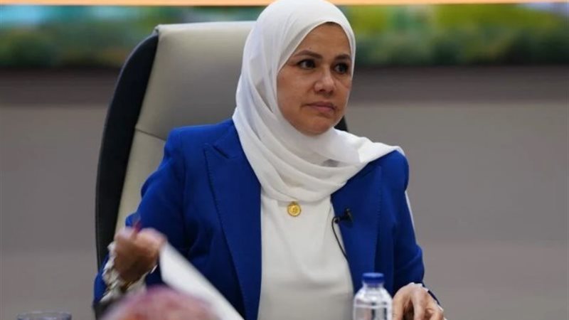 رئيس مصلحة الضرائب المصرية