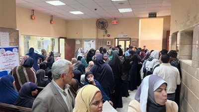 إقبال كثيف على مكاتب الشهر العقاري بالفيوم لتحرير توكيلات 