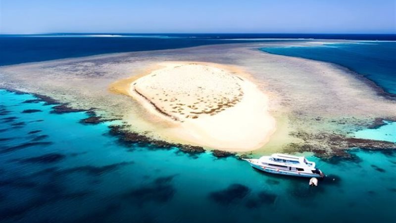 مرسى علم