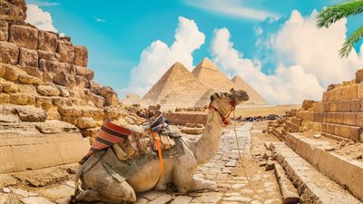 خبير سياحي: زاهي حواس والتقارير الإيجابية سبب كبير لارتفاع نسب السياحة