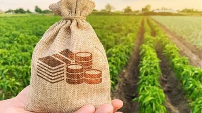 فرصة لا تعوض للشباب، كيف تحصل على أرض زراعية من الدولة؟