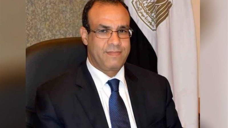 بدر عبد العاطي