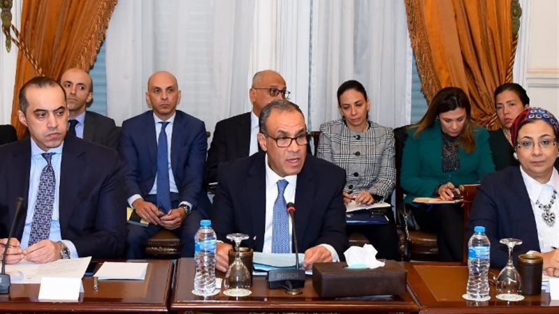 وزير الخارجية الدكتور بدر عبد العاطي