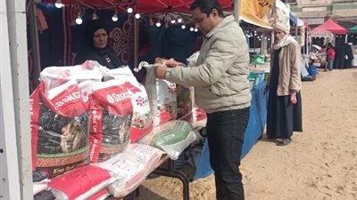 السابع في الإسكندرية.. افتتاح سوق جديد لليوم الواحد بالعامرية