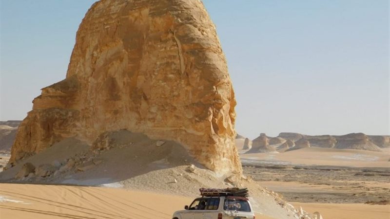 الواحات