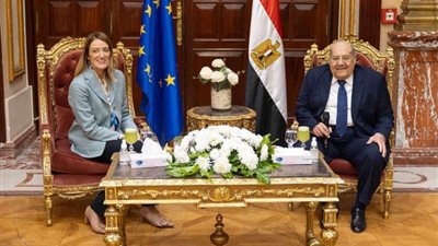 رئيس «الشيوخ» يؤكد حرص مصر على تحقيق الاستقرار في المنطقة والعالم