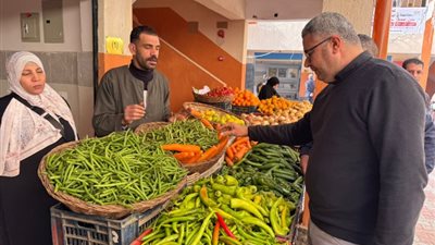 بأسعار مخفضة، معرض للسلع الأساسية والخضروات بالطالبية «صور»