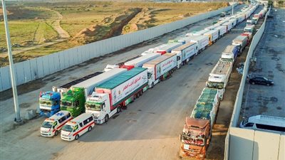 صندوق تحيا مصر يوزع 25 ألف بطانية ويجهز 25 عروسة بحلايب وشلاتين وأبو رماد