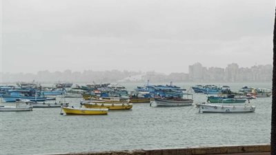 رفع حالة الاستعداد بالإسكندرية استعدادا لنوة الفيضة الكبرى