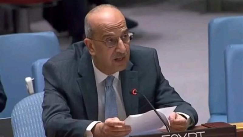 مندوب مصر لدى مجلس الأمن