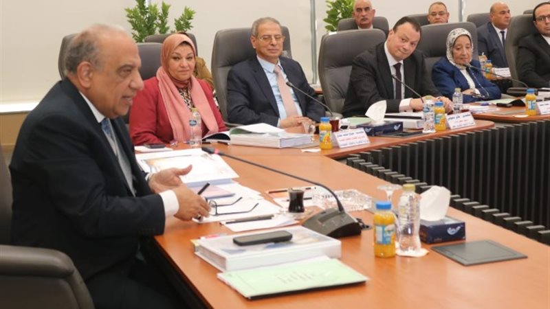 وزير الكهرباء والطاقة المتجددة