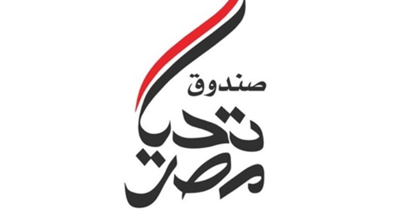 صندوق تحيا مصر