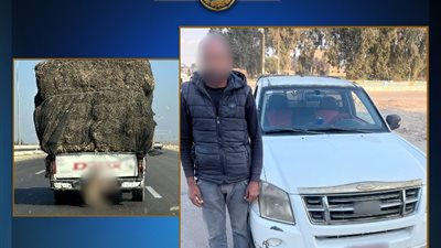 ضبط سائق بتهمة ربط حيوان في سيارة ربع نقل وسحله أثناء السير بالإسماعيلية