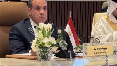 قمة الرياض، وزير الخارجية يناقش منع إيواء العناصر الإرهابية في سوريا