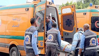 أب مكلوم وأخت في حالة هستيرية، قصة مصرع طفل أسفل تريللا بالسلام