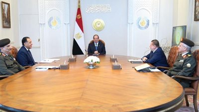 الرئيس السيسي يوجه بتعزيز التحول الرقمي والشمول المالي في مصر