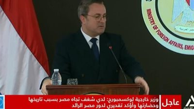 وزير خارجية لوكسمبورج: نؤيد حل الدولتين ومن المبكر تقييم الوضع في سوريا