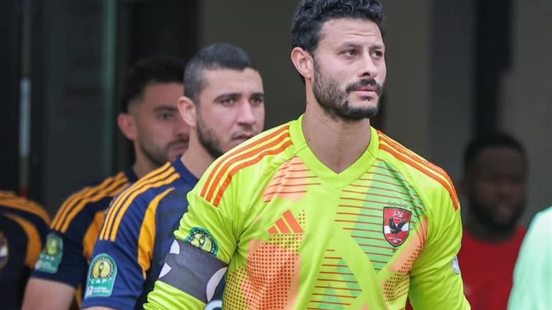 محمد الشناوي