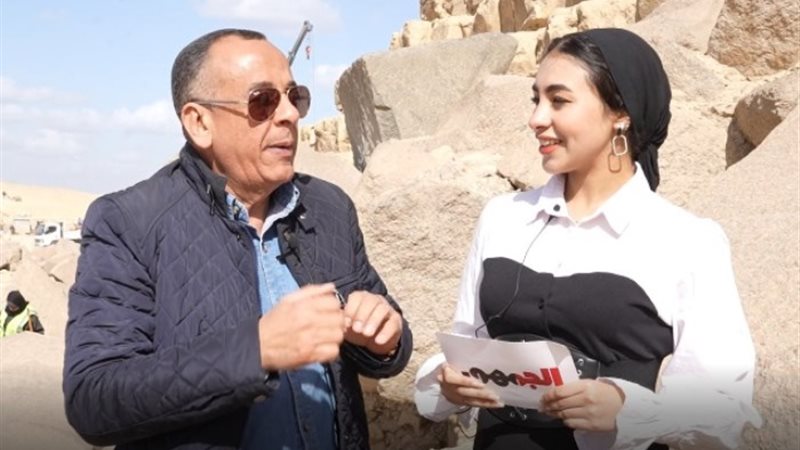 الدكتور مصطفى وزيري
