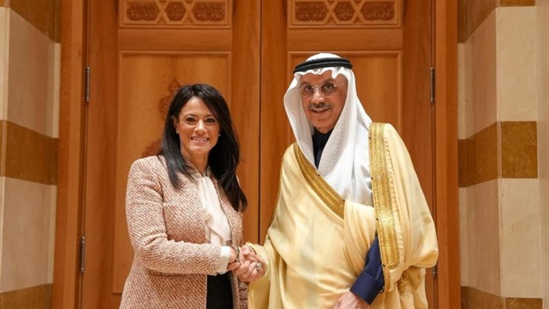 رانيا المشاط وزيرة التخطيط والتنمية الاقتصادية والتعاون الد