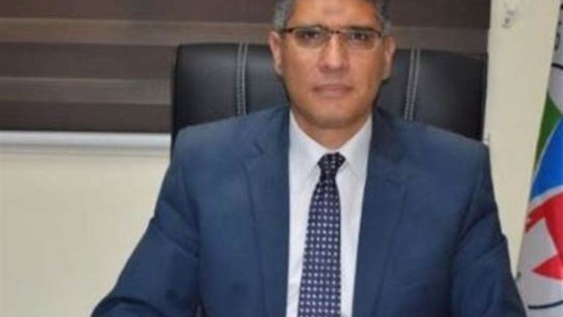 المهندس عادل النجار، محافظ الجيزة