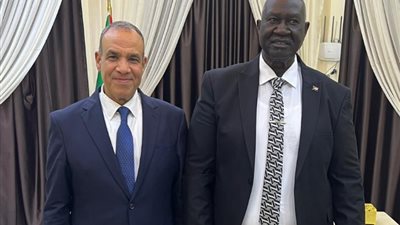 وزير الخارجية يؤكد دعم مصر الكامل للسودان ومؤسساته الوطنية
