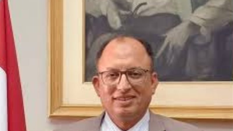 الدكتور السيد قنديل، رئيس جامعة حلوان