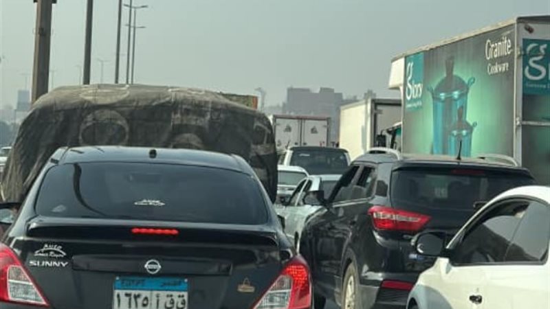 صورة من الواقعة
