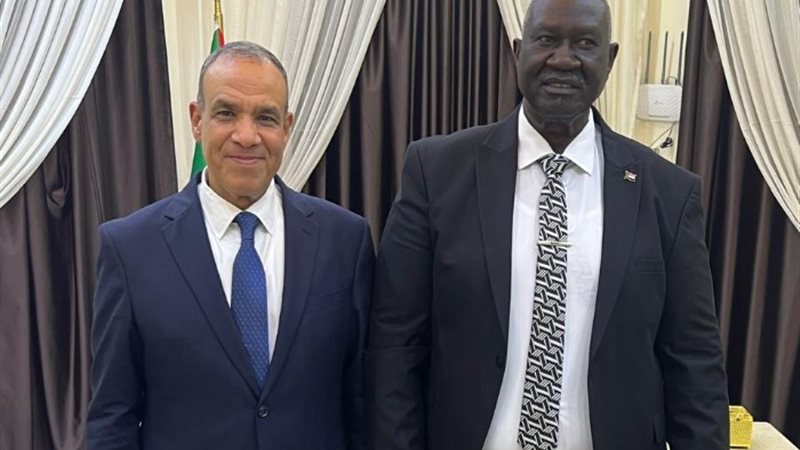 وزير الخارجية يلتقي نائب رئيس مجلس السيادة الانتقالي السودا