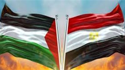 خبير علاقات دولية: مصر تعمل على تذليل العقبات وحل القضايا العالقة بالمنطقة