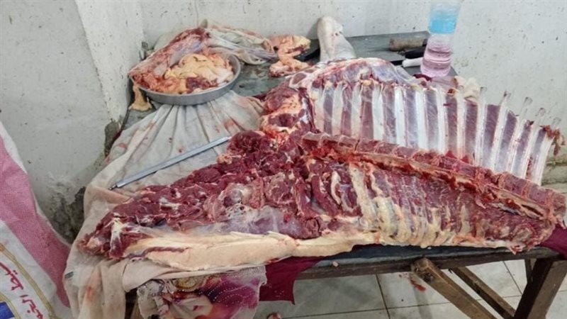 صورة من واقعة ذبح حصان