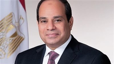 الرئيس السيسي يشدد على تعزيز كفاءة منظومة الري وإنشاء صوامع لتخزين الغلال