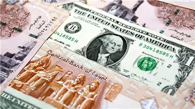 مسلسل الهبوط مستمر.. سعر الدولار مقابل الجنيه المصري ببداية تعاملات اليوم الثلاثاء