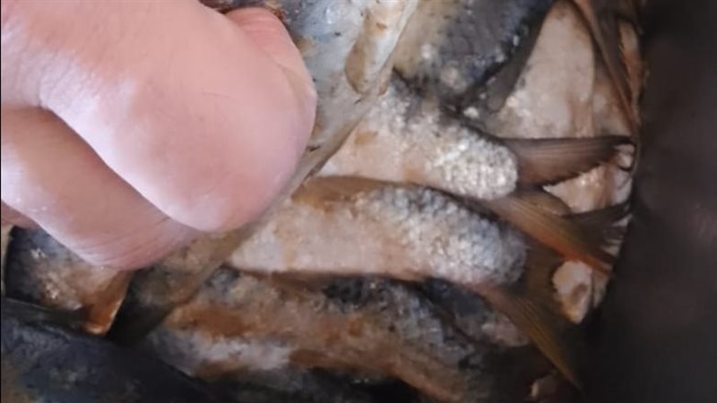 اطعمة فاسدة