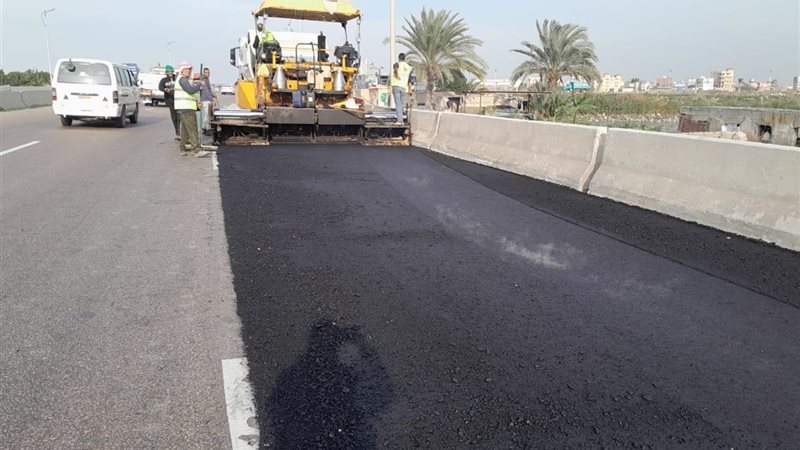 محافظ الاسكندرية