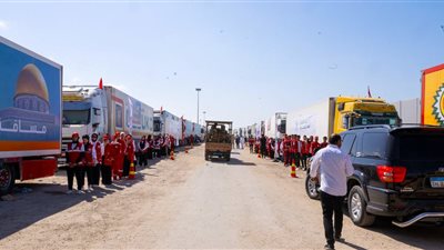 عميد معهد القلب: طوفان من المساعدات تدخل غزة عبر معبر رفح (فيديو)