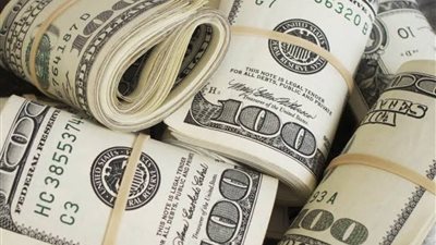 أسعار الدولار مقابل الجنيه المصري اليوم الأحد 26 يناير 2025