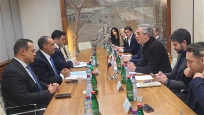 وزير الخارجية يبحث مع رجال أعمال صربيون فرص الاستثمار المتاحة بمصر