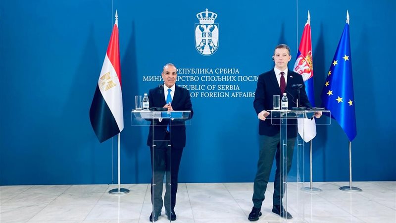 وزير الخارجية والهجرة الدكتور بدر عبد العاطي