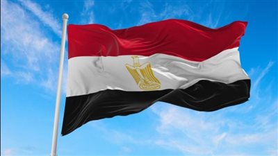مصر تدين العملية العسكرية الإسرائيلية في جنين بالضفة الغربية 