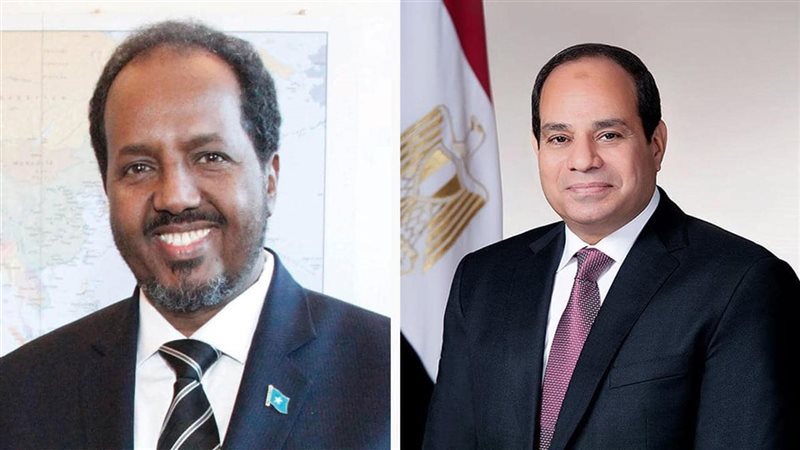 الرئيس السيسي والدكتور حسن شيخ محمود