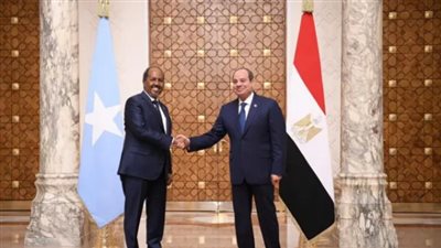 «العربي للدراسات»: مصر أحسنت إدارة ملف الصومال لتعزيز استقرار البحر الأحمر