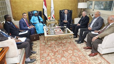 نائب رئيس مجلس الوزراء: نعمل على مشروعات عديدة للربط مع الدول الأفريقية