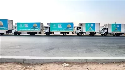 لليوم السادس على التوالي.. تدفق شاحنات المساعدات إلى غزة عبر معبر رفح «إنفوجراف»