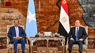 السفير صلاح حليمة: الصومال جزء لا يتجزأ من الأمن القومي المصري (فيديو)