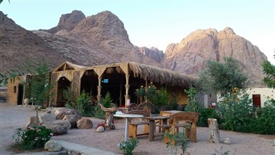 18 رحلة بـ 1800 سائح أجنبي.. السياحة تتألق في مدينة سانت كاترين 