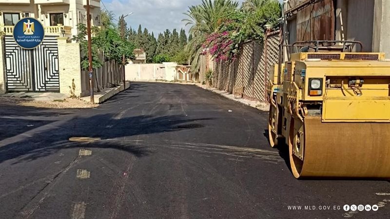 الطرق المحلية