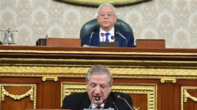 بعد واقعة الإسكندرية.. تحرك برلماني  بشأن خطة الحكومة للحد من انتشار المشردين