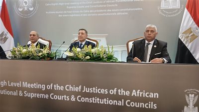 رئيس الدستورية: اجتماع المحاكم الافريقية انتهت إلى إنشاء مركز للدراسات القضائية