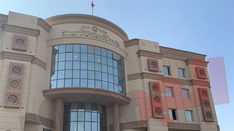 المحكمة الاقتصادية